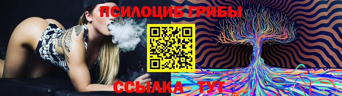 Псилоцибиновые грибы GOLDEN TEACHER  Вход с VPN  Кудрово 